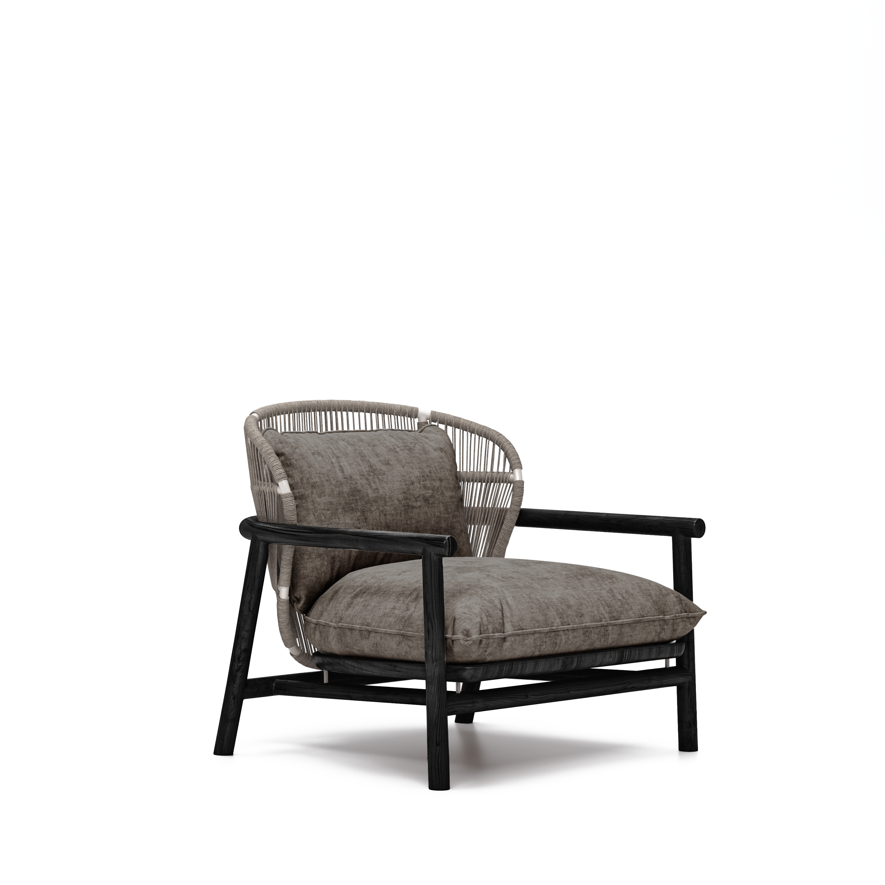 Brasilia Lounge Chair